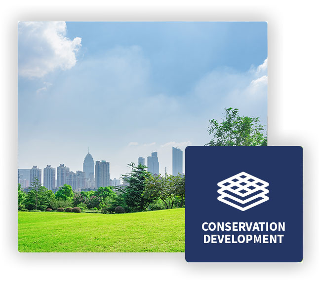 Conservation-development
